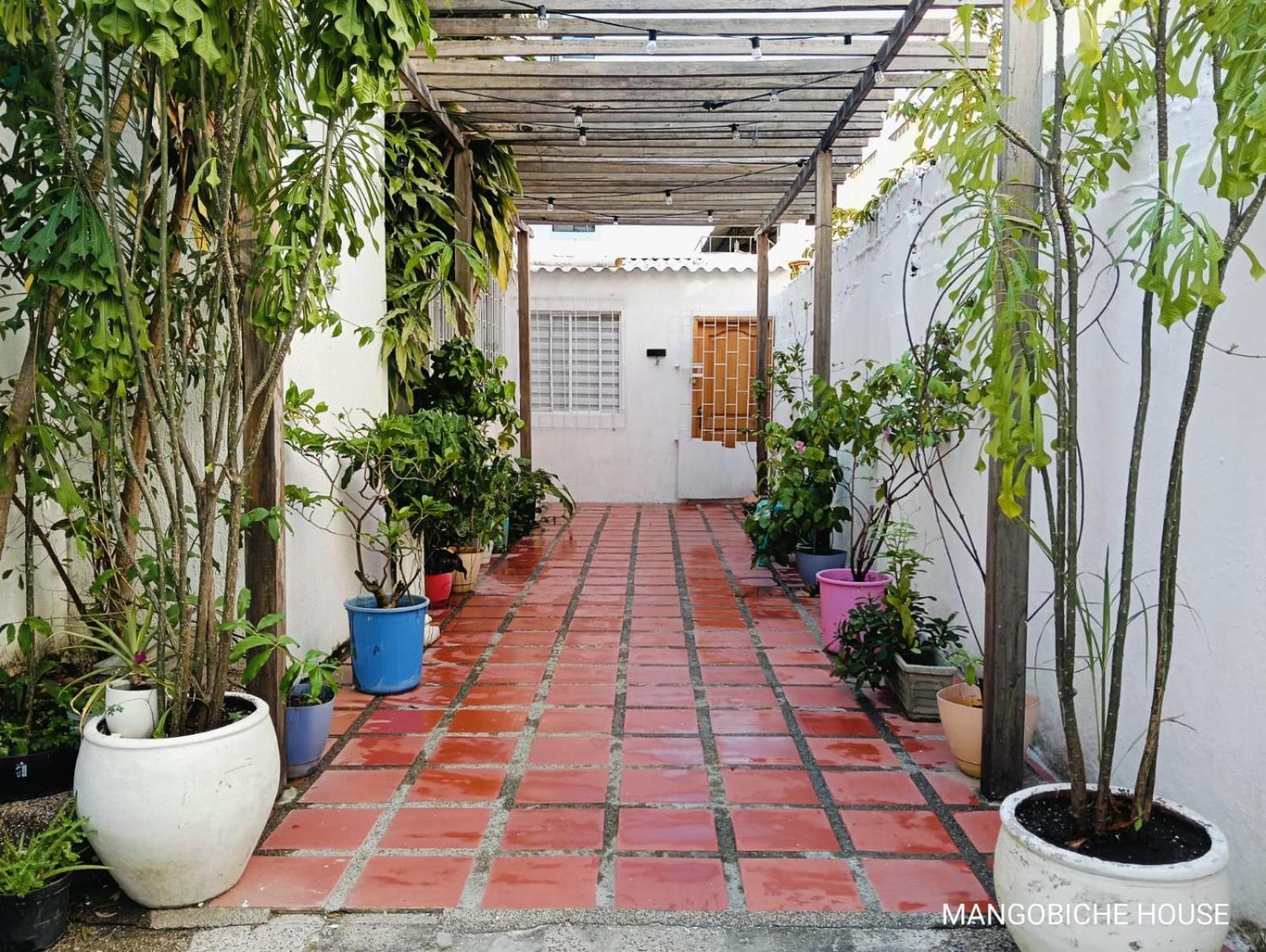 Mango Biche - House Bed & Breakfast Cartagena Luaran gambar